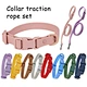Dog leash